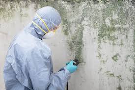 Best Post-Construction Mold Inspection in USA